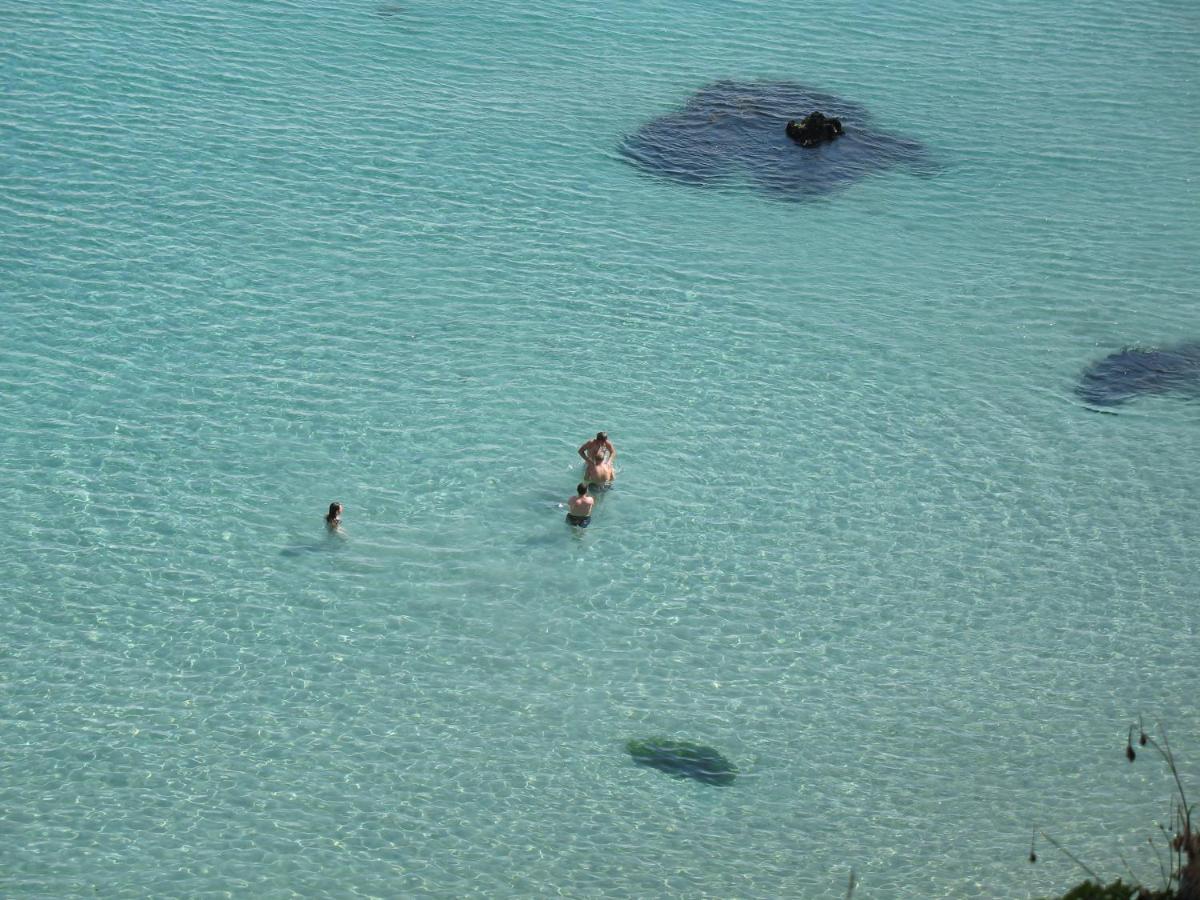Le Dixmude, Appartement Proche Plage De Morgat Crozon Eksteriør bilde